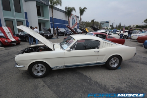 a-gathering-of-snakes-and-more-at-the-carroll-shelby-tribute-show-2018-05-26_03-29-12_230512