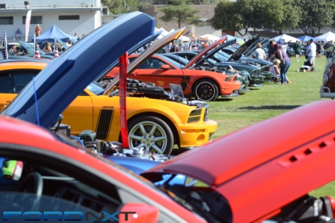 friends-of-steve-mcqueen-show-celebrates-50-years-of-bullitt-2018-06-08_02-53-51_889267