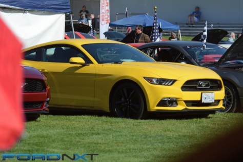 friends-of-steve-mcqueen-show-celebrates-50-years-of-bullitt-2018-06-08_02-57-28_509305