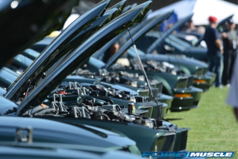 friends-of-steve-mcqueen-show-celebrates-50-years-of-bullitt-2018-06-08_03-01-23_406603