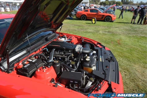 friends-of-steve-mcqueen-show-celebrates-50-years-of-bullitt-2018-06-08_03-03-14_037792