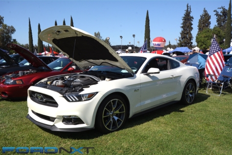 friends-of-steve-mcqueen-show-celebrates-50-years-of-bullitt-2018-06-08_03-13-51_816546