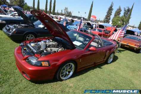 friends-of-steve-mcqueen-show-celebrates-50-years-of-bullitt-2018-06-08_03-14-18_536229