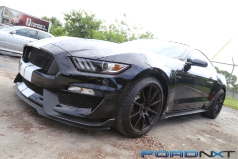 steeda-celebrates-three-decades-performance-south-florida-2018-06-04_02-45-34_708569