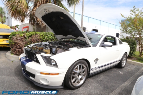 steeda-celebrates-three-decades-performance-south-florida-2018-06-04_02-49-54_288572