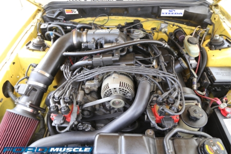 steeda-celebrates-three-decades-performance-south-florida-2018-06-04_02-51-11_145693