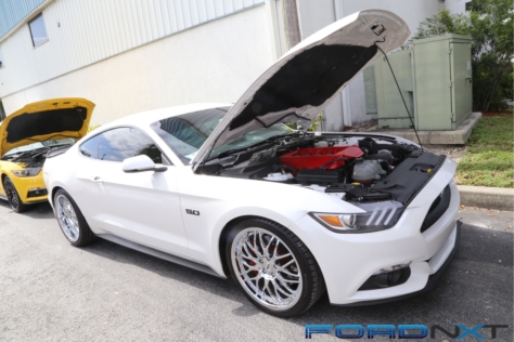 steeda-celebrates-three-decades-performance-south-florida-2018-06-04_02-53-28_699680