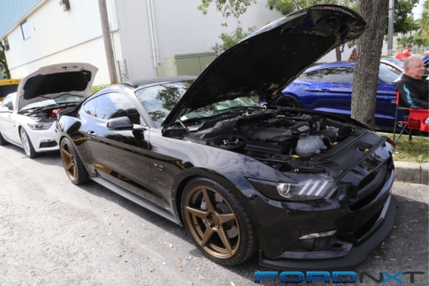 steeda-celebrates-three-decades-performance-south-florida-2018-06-04_02-53-55_858881