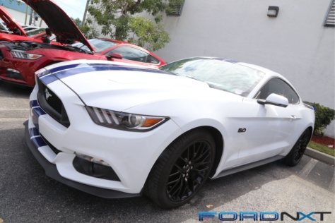steeda-celebrates-three-decades-performance-south-florida-2018-06-04_02-54-51_189009