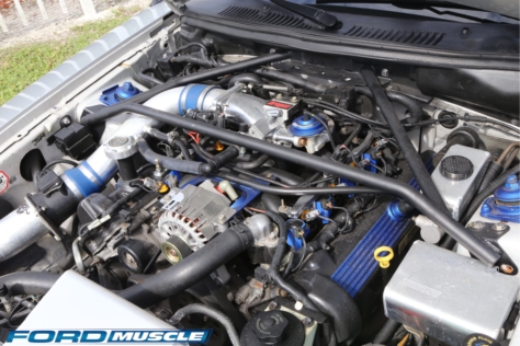 steeda-celebrates-three-decades-performance-south-florida-2018-06-04_02-56-11_000208