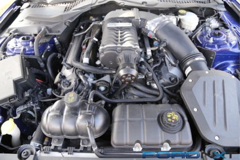 steeda-celebrates-three-decades-performance-south-florida-2018-06-04_03-01-03_582008