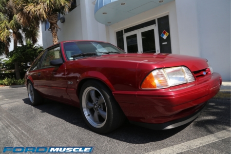 steeda-celebrates-three-decades-performance-south-florida-2018-06-04_03-04-17_084259