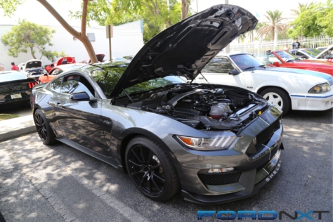 steeda-celebrates-three-decades-performance-south-florida-2018-06-04_03-06-00_566876