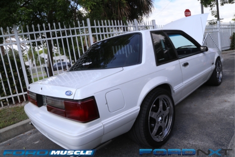 steeda-celebrates-three-decades-performance-south-florida-2018-06-04_03-09-49_204365