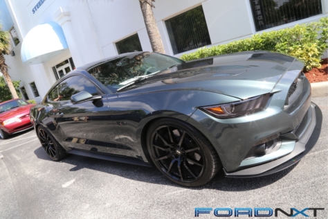 steeda-celebrates-three-decades-performance-south-florida-2018-06-04_03-10-16_481502