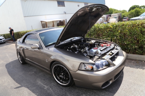 steeda-celebrates-three-decades-performance-south-florida-2018-06-04_03-12-34_134874