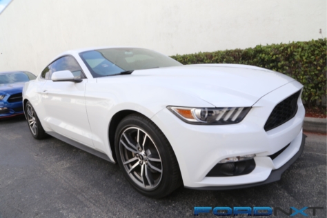 steeda-celebrates-three-decades-performance-south-florida-2018-06-04_03-12-59_743142