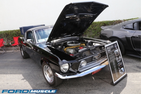 steeda-celebrates-three-decades-performance-south-florida-2018-06-04_03-16-38_098174