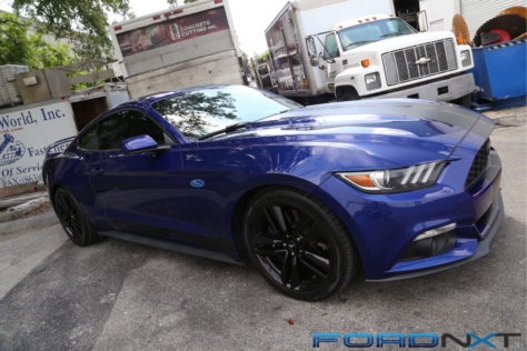 steeda-celebrates-three-decades-performance-south-florida-2018-06-04_03-18-24_690088