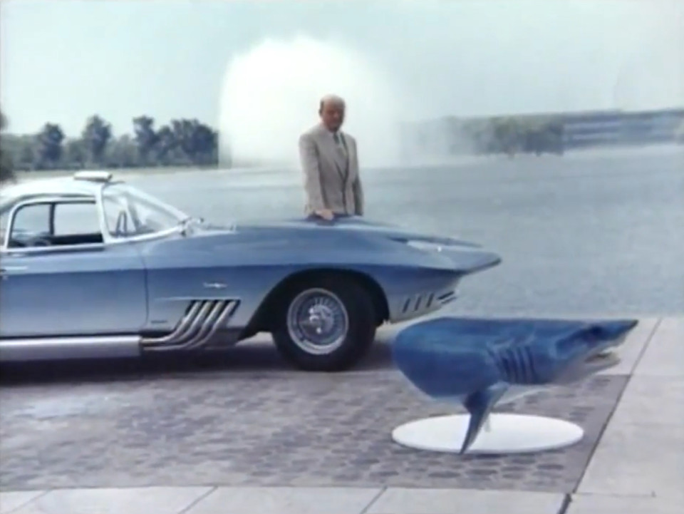 The Mako Shark and part of a shark