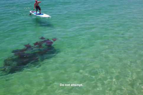 Video: 50 Best Spots in Baja - Episode 11