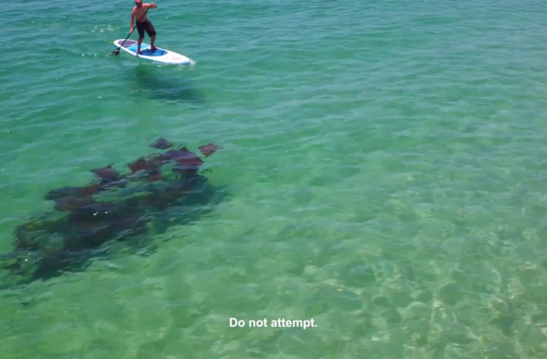 Video: 50 Best Spots in Baja - Episode 11