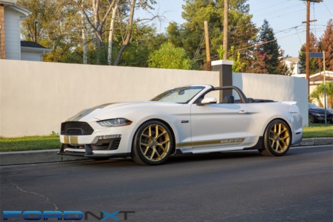 700HP 2019 Shelby GT Debuts During The Woodward Dream Cruise