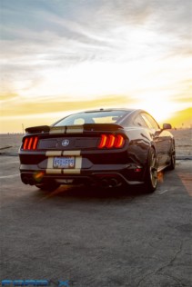700hp-2019-shelby-gt-debuts-during-the-woodward-dream-cruise-2018-08-16_19-47-21_701696
