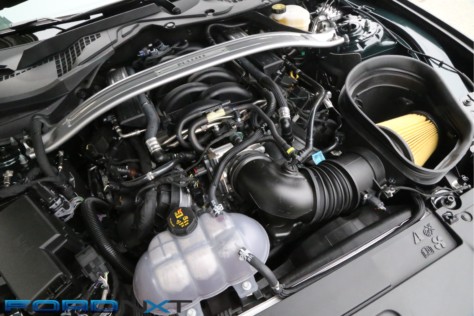 driving-the-2019-bullitt-makes-you-feel-like-the-king-of-cool-2018-08-03_02-22-03_747630