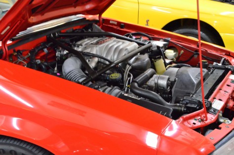 scoa-turns-the-queen-city-into-saleen-city-2018-08-23_00-44-03_736370