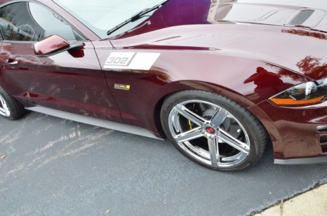 scoa-turns-the-queen-city-into-saleen-city-2018-08-23_01-07-02_118981
