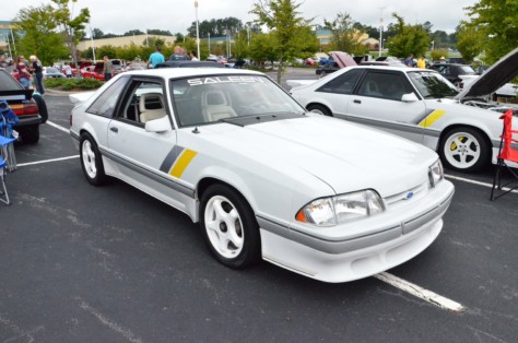 scoa-turns-the-queen-city-into-saleen-city-2018-08-23_01-19-28_408957