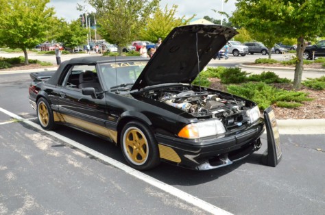 scoa-turns-the-queen-city-into-saleen-city-2018-08-23_01-21-25_904137