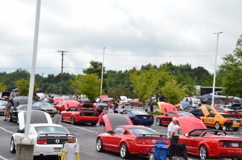scoa-turns-the-queen-city-into-saleen-city-2018-08-23_01-23-59_852160