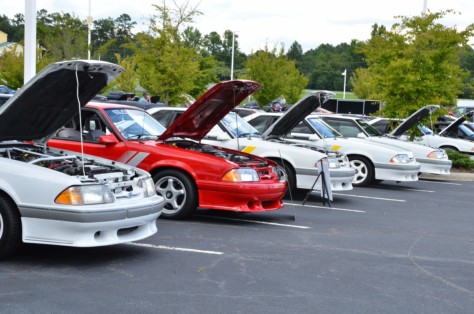 scoa-turns-the-queen-city-into-saleen-city-2018-08-23_01-29-45_221831
