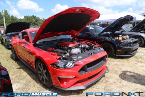 hundreds-just-send-it-during-mustang-week-2018s-drag-test-n-tune-2018-09-06_23-28-59_015428