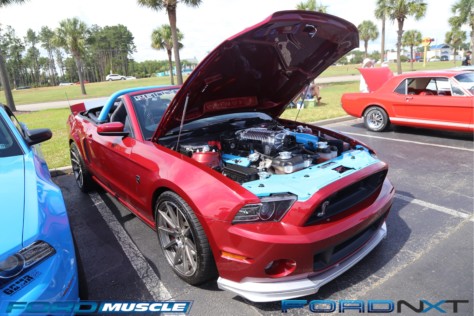mustang-week-2018-kicks-off-with-a-gigantic-meet-n-greet-2018-09-05_03-23-28_029805