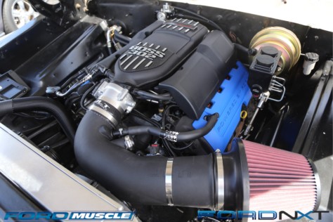 mustang-week-2018-kicks-off-with-a-gigantic-meet-n-greet-2018-09-05_03-26-10_177920