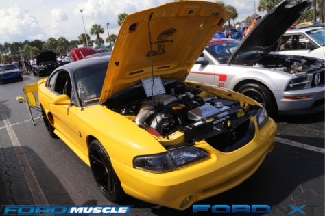 mustang-week-2018-kicks-off-with-a-gigantic-meet-n-greet-2018-09-05_03-30-27_832099