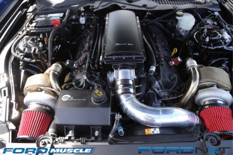 mustang-week-2018-kicks-off-with-a-gigantic-meet-n-greet-2018-09-05_03-37-59_878765