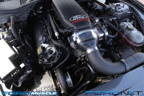 mustang-week-2018-kicks-off-with-a-gigantic-meet-n-greet-2018-09-05_03-42-09_252791