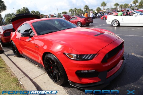 mustang-week-2018-kicks-off-with-a-gigantic-meet-n-greet-2018-09-05_03-42-53_264332
