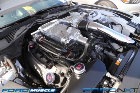 mustang-week-2018-kicks-off-with-a-gigantic-meet-n-greet-2018-09-05_03-53-12_962429