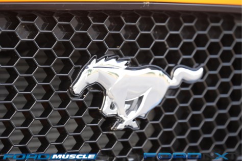 driving-a-2018-gt-manual-to-mustang-week-was-a-late-summer-treat-2018-09-30_22-54-13_705173