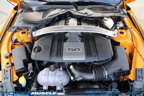 driving-a-2018-gt-manual-to-mustang-week-was-a-late-summer-treat-2018-09-30_22-56-12_612847