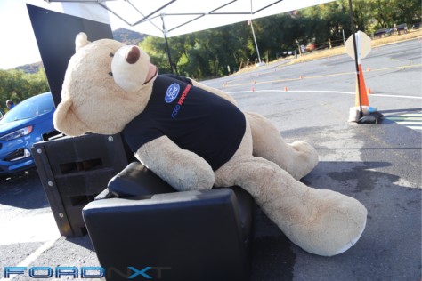 first-drive-the-2019-edge-st-strikes-a-fun-balance-between-performance-practicality-2018-10-08_13-06-04_566782