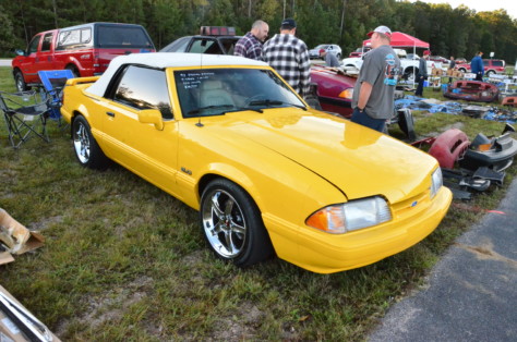 our-top-ten-picks-from-foxtoberfest-2018-2018-10-15_10-55-33_229960