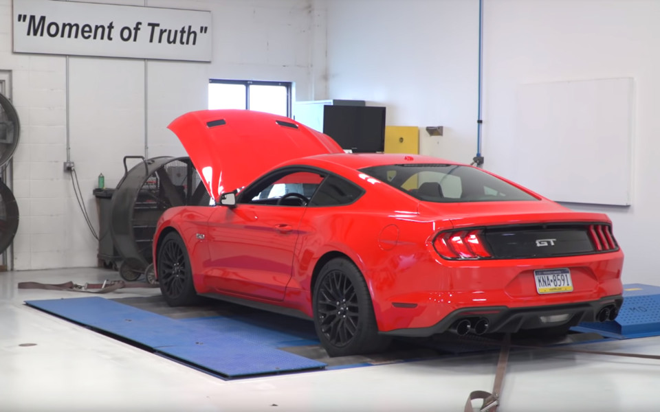 AmericanMuscle