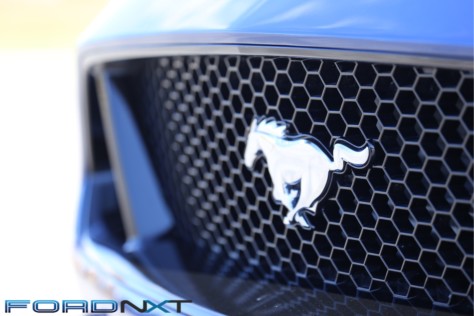 is-this-six-figure-steeda-the-ultimate-all-around-stallion-2018-11-25_17-01-06_076951
