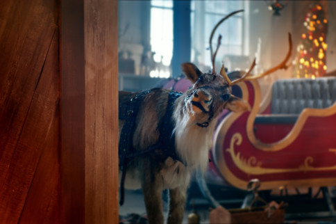 The V8 days of Christmas: Gift Horses